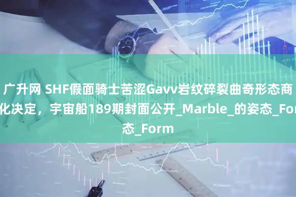 广升网 SHF假面骑士苦涩Gavv岩纹碎裂曲奇形态商品化决定，宇宙船189期封面公开_Marble_的姿态_Form