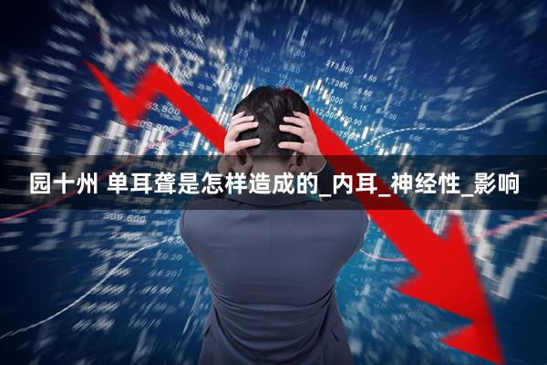 园十州 单耳聋是怎样造成的_内耳_神经性_影响