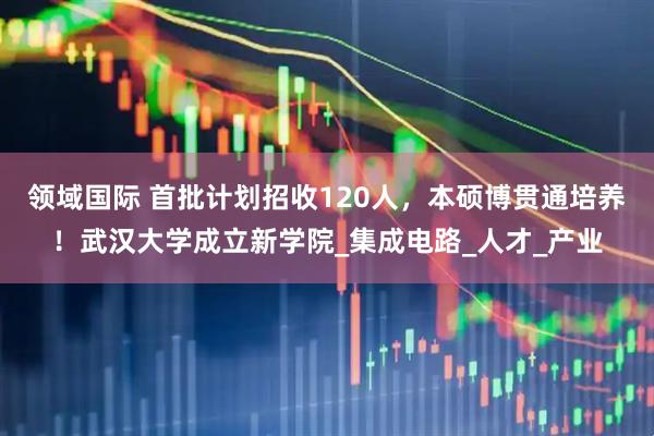 领域国际 首批计划招收120人，本硕博贯通培养！武汉大学成立新学院_集成电路_人才_产业