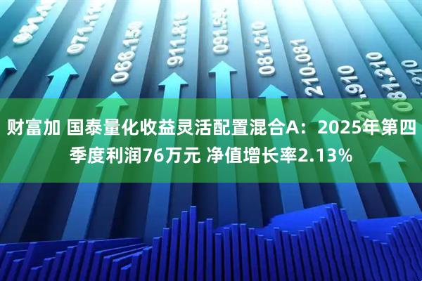 财富加 国泰量化收益灵活配置混合A：2025年第四季度利润76万元 净值增长率2.13%