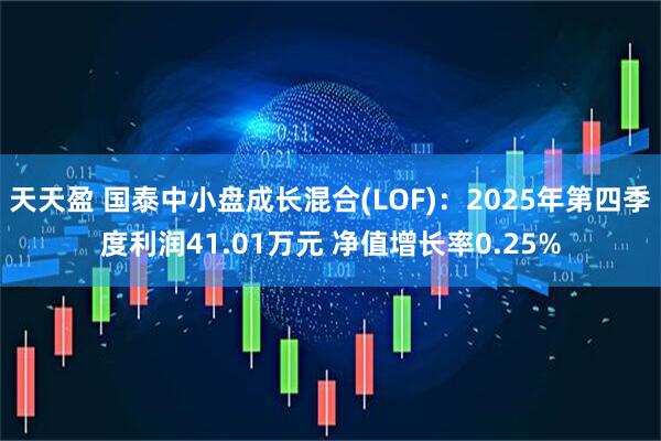 天天盈 国泰中小盘成长混合(LOF)：2025年第四季度利润41.01万元 净值增长率0.25%